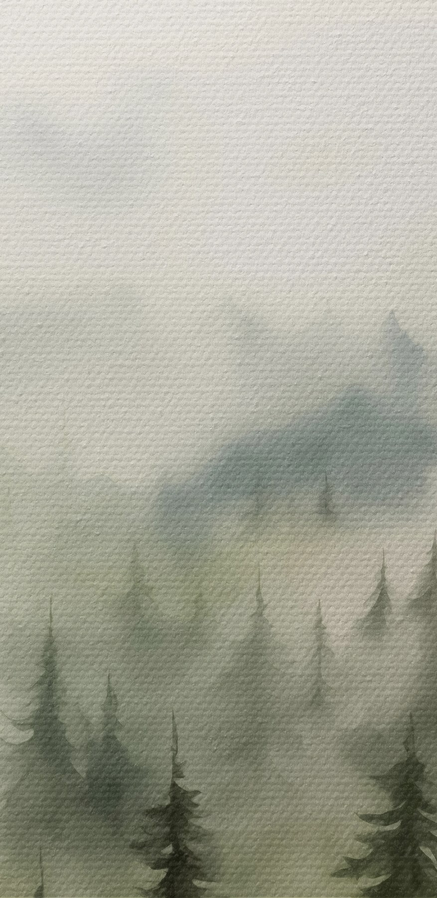 Mistig bos met bomen