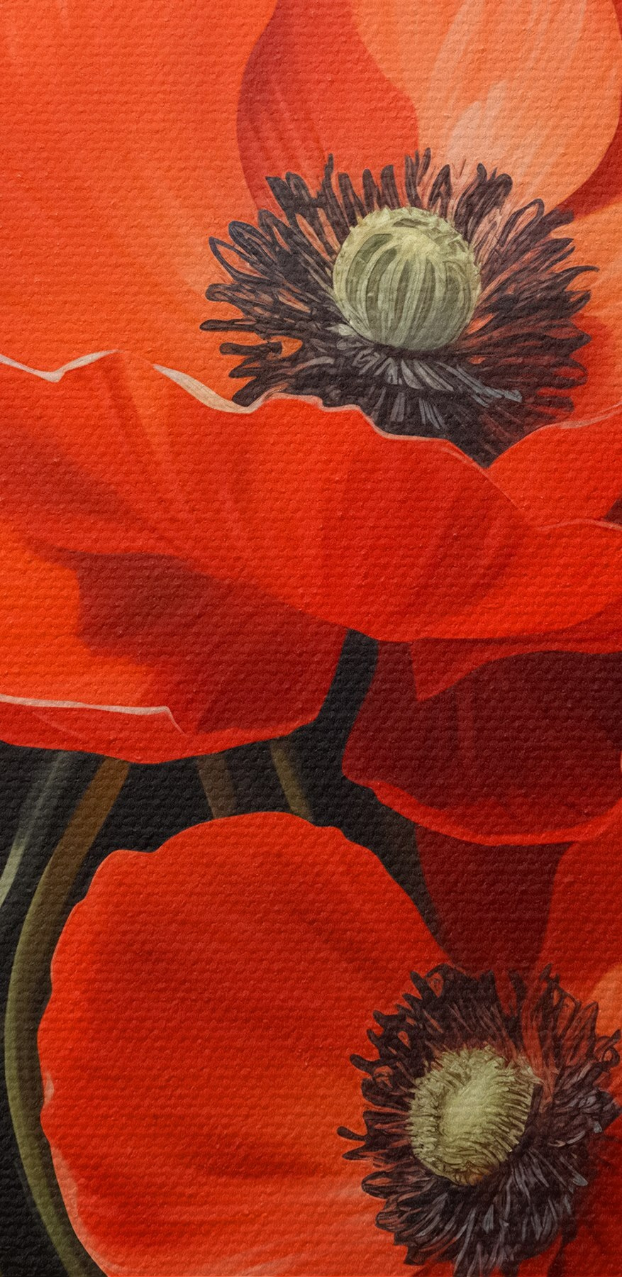 Close-up van bloemen