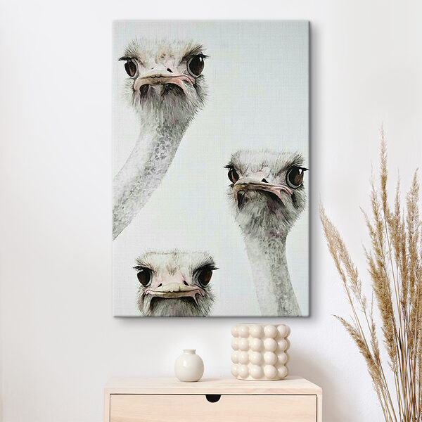 Groep struisvogels met hun hoofd omhoog Groep struisvogels met hun hoofd omhoog