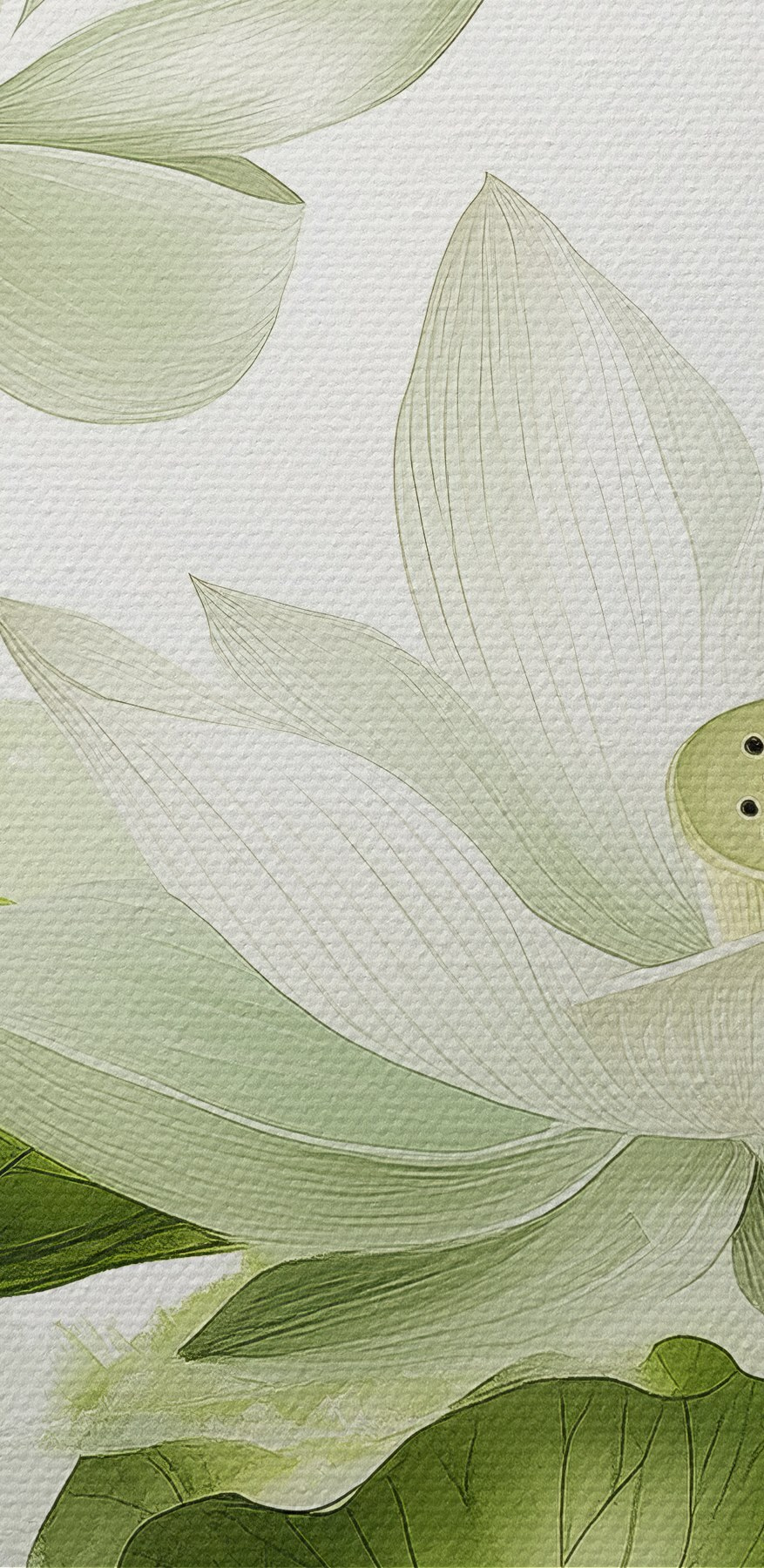 Groep witte bloemen met groene bladeren Groep witte bloemen met groene bladeren