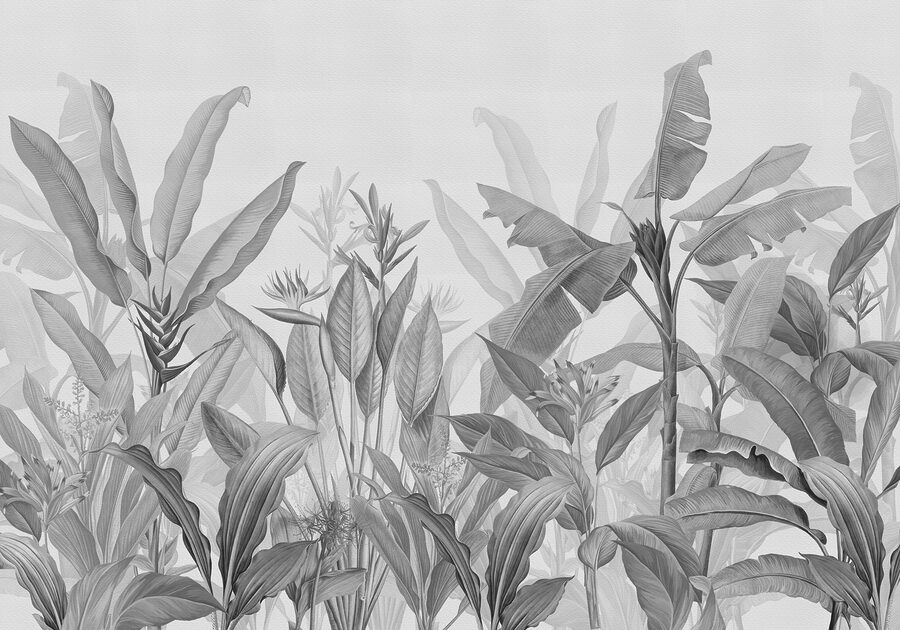 Close-up van planten