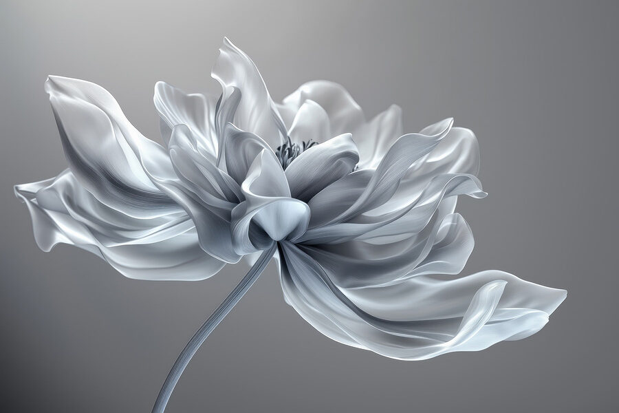 Witte bloem met lange steel