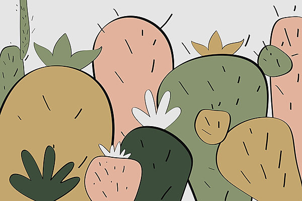 Groep cactussen met verschillende vormen Groep cactussen met verschillende vormen