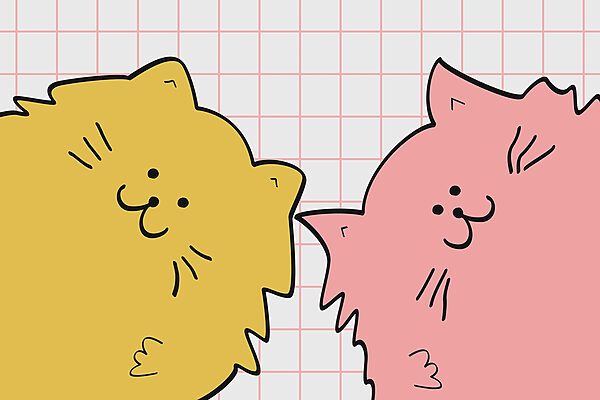Gele en roze kat Gele en roze kat