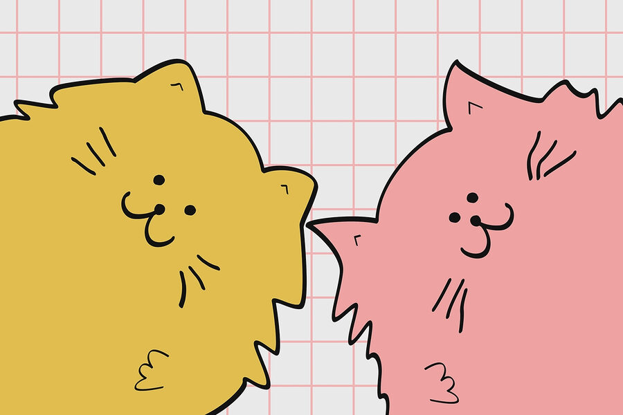 Gele en roze kat