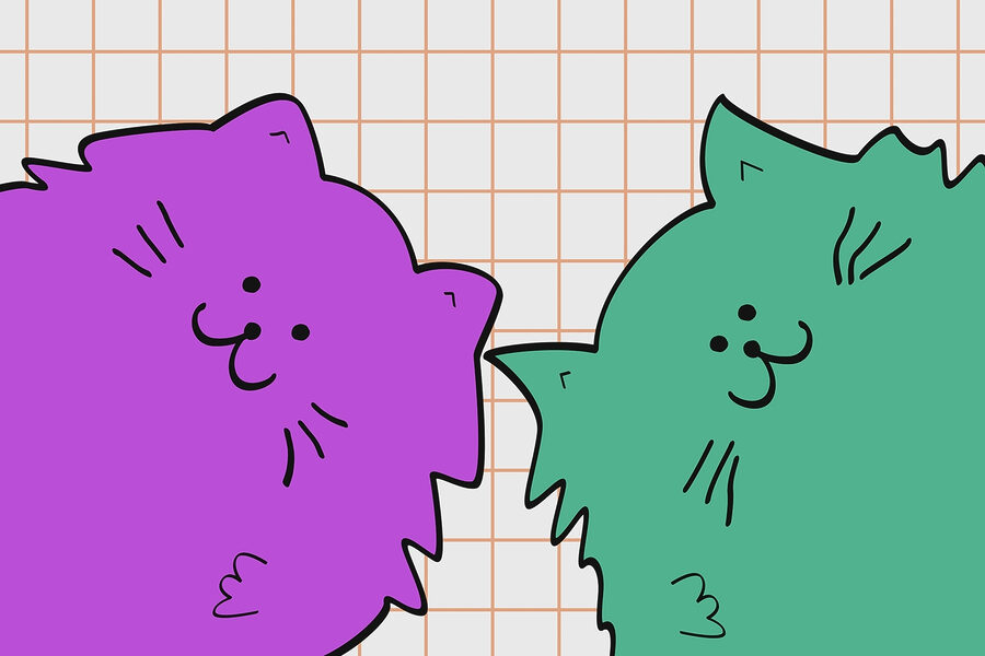 Paarse en groene kat