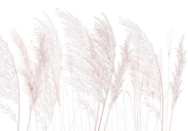 Groep gras met roze bloemen Groep gras met roze bloemen