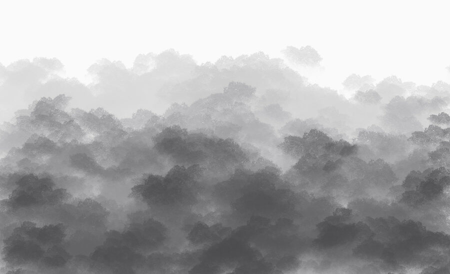 Zwart-wit afbeelding van wolken