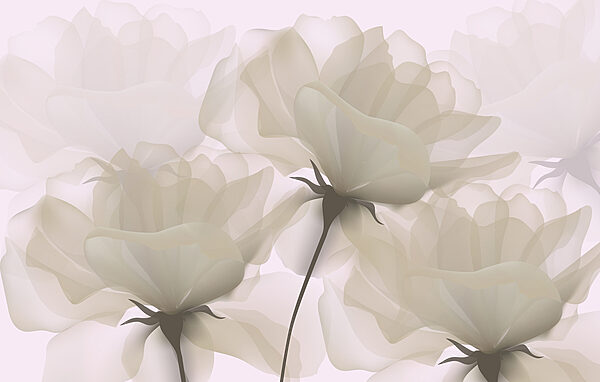Groep witte bloemen Groep witte bloemen