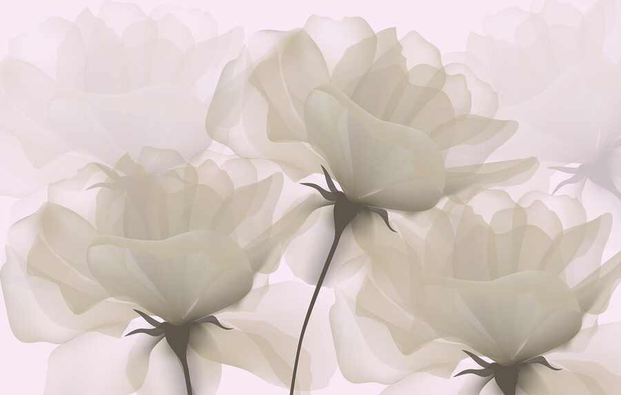 Groep witte bloemen