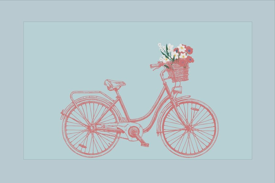 Fiets met bloemen in een mand Fiets met bloemen in een mand