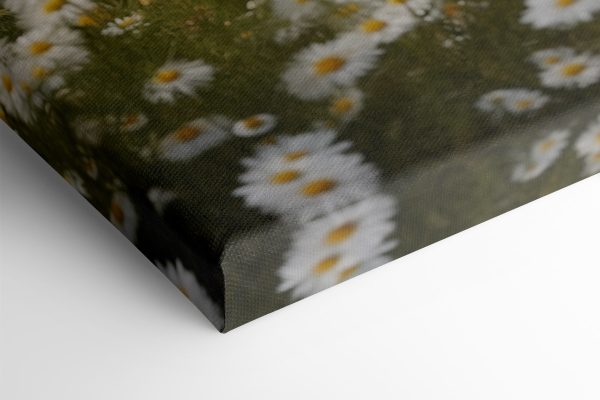 Beer zittend in een bloemenveld Beer zittend in een bloemenveld