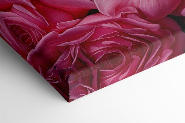 Groep roze rozen Groep roze rozen