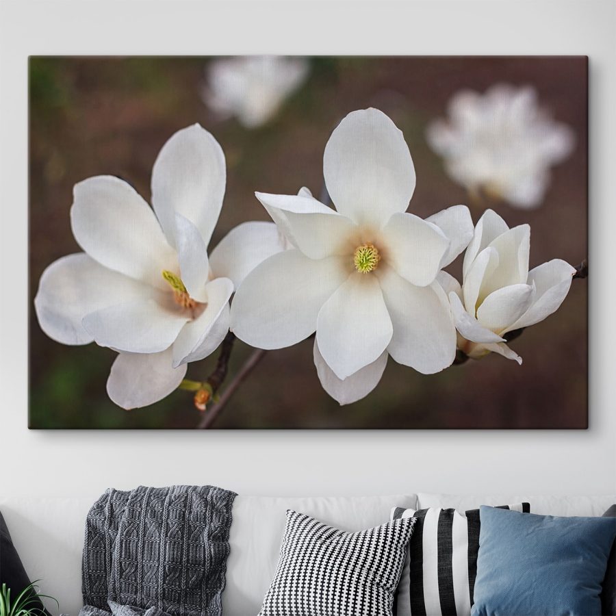 Groep witte bloemen