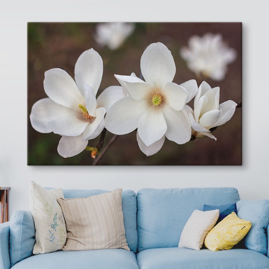 Groep witte bloemen