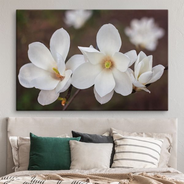 Groep witte bloemen Groep witte bloemen