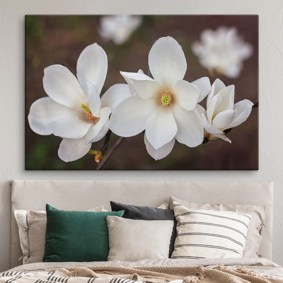 Groep witte bloemen