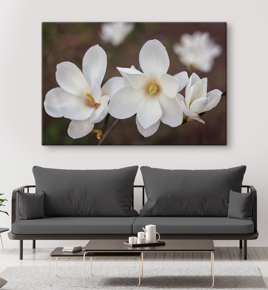 Groep witte bloemen