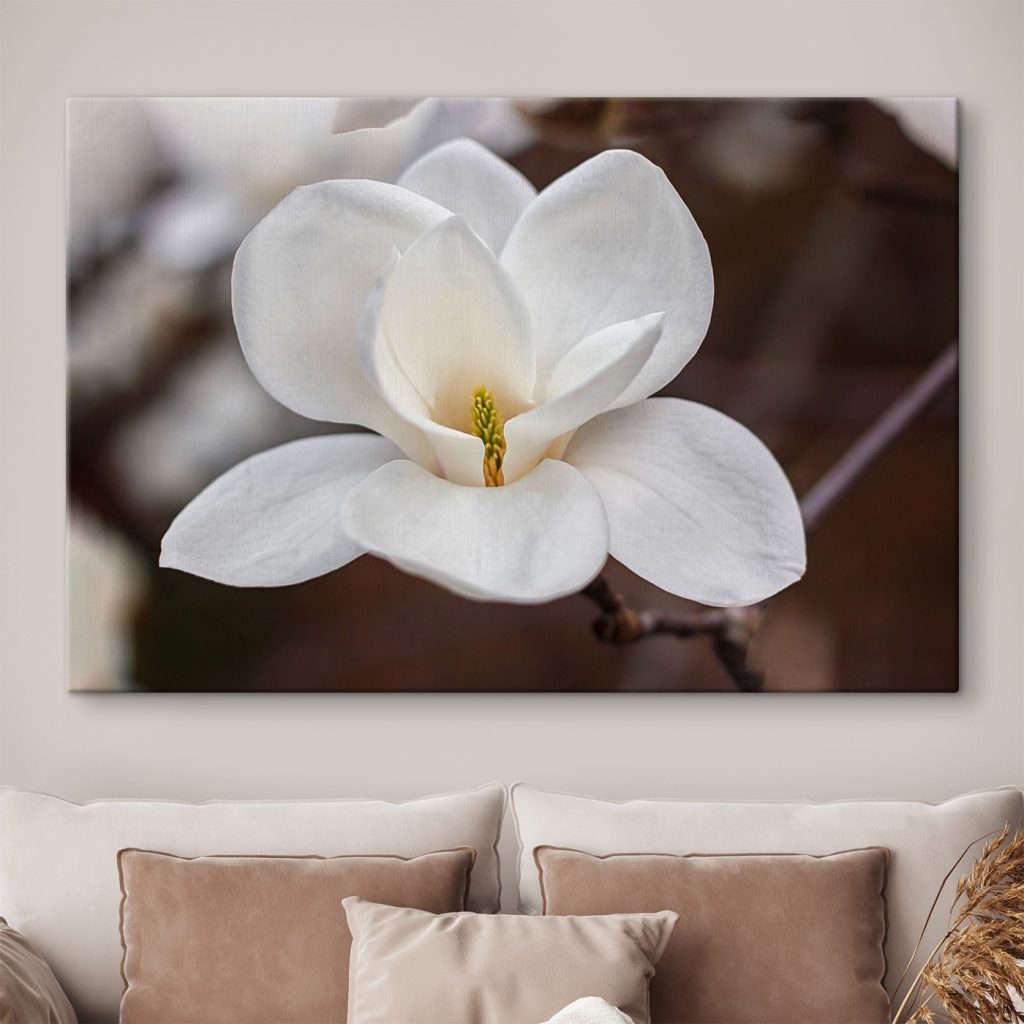 White flower with yellow center