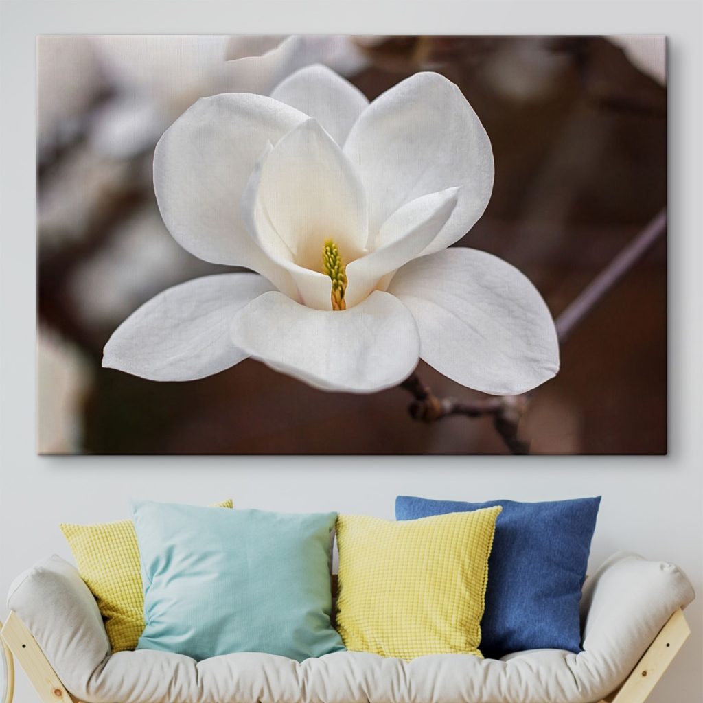 White flower with yellow center