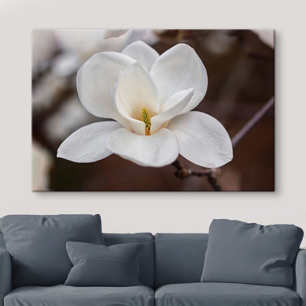 White flower with yellow center