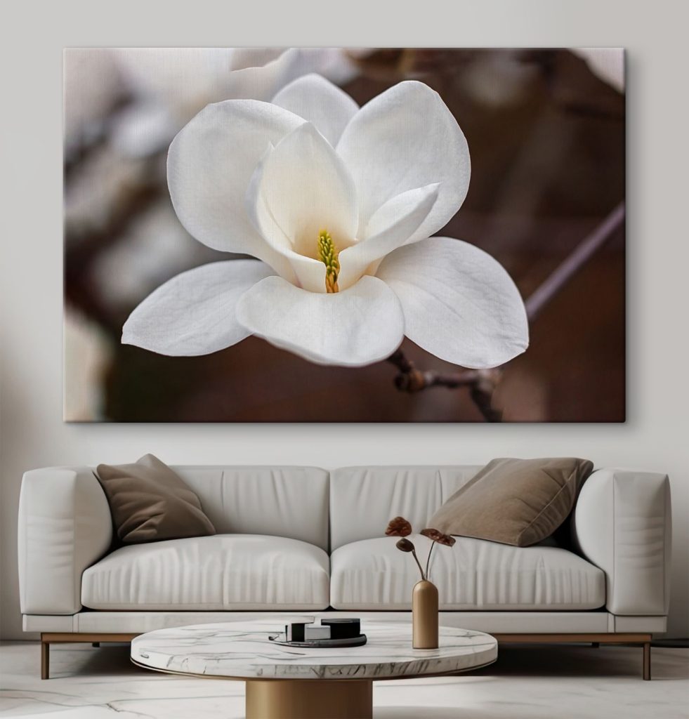 White flower with yellow center