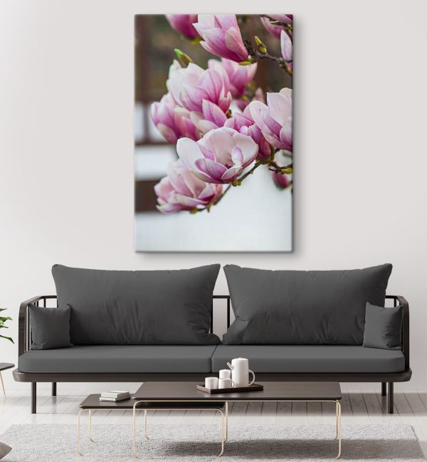 Lentemagnolia's wenken opnieuw. Lentemagnolia's wenken opnieuw.