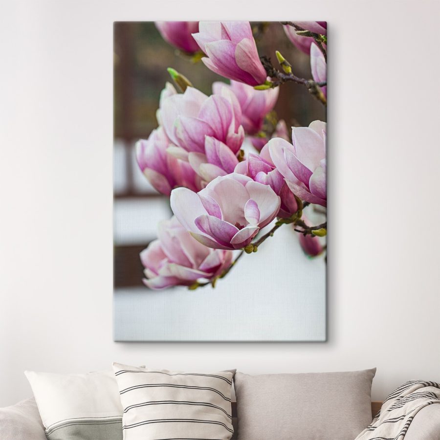 Lentemagnolia's wenken opnieuw.
