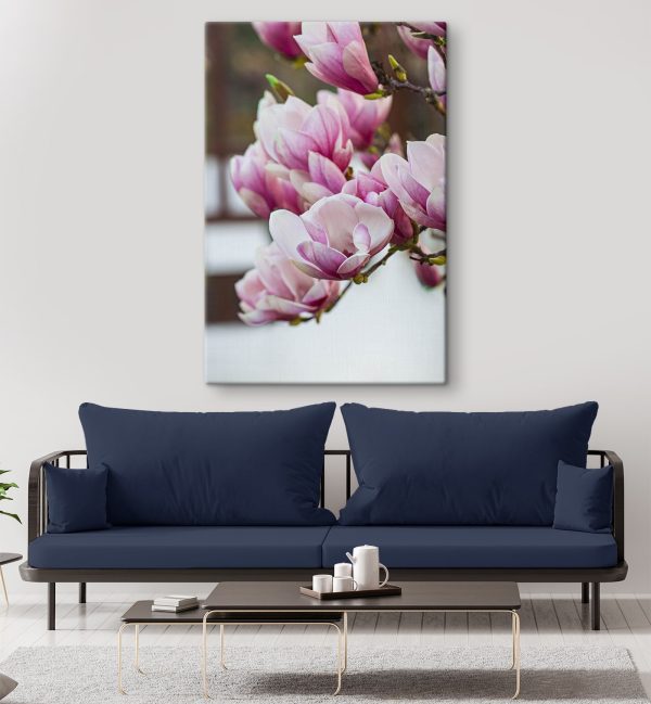 Lentemagnolia's wenken opnieuw. Lentemagnolia's wenken opnieuw.
