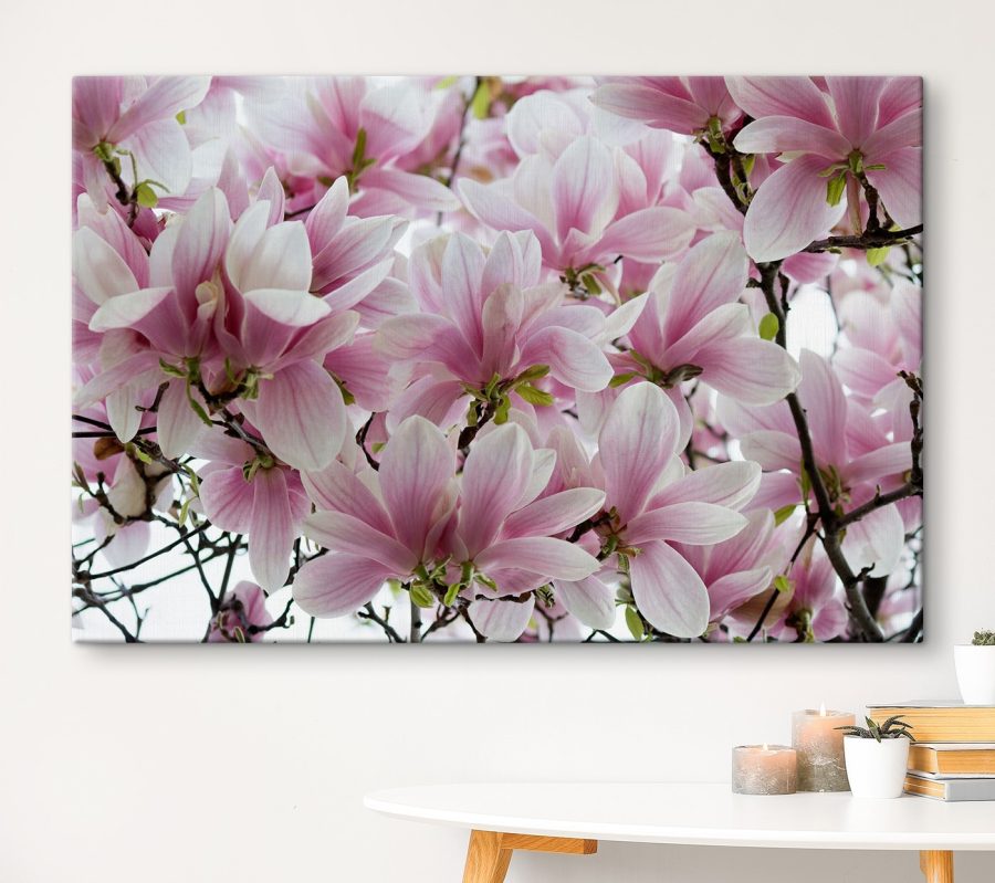 Groep roze bloemen