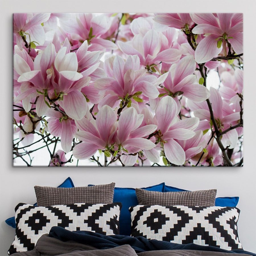Groep roze bloemen