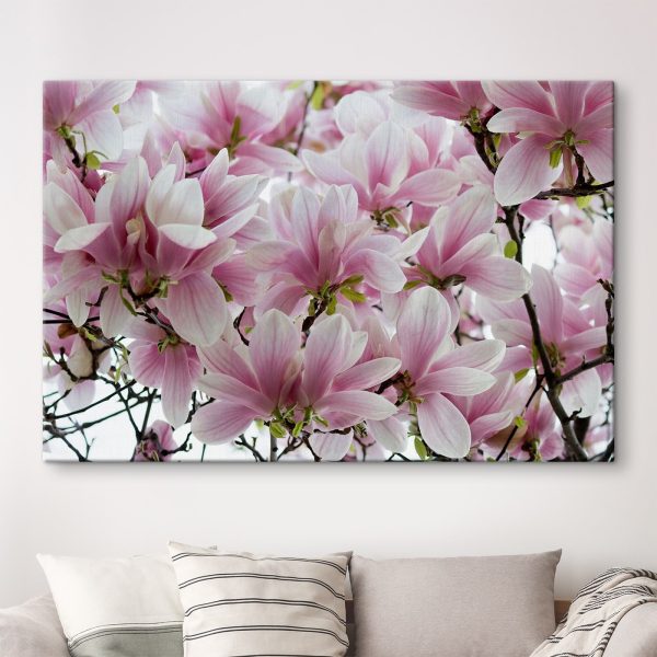 Groep roze bloemen Groep roze bloemen