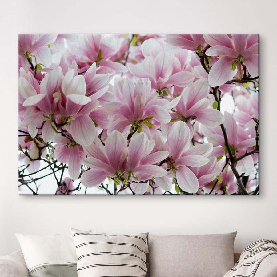 Groep roze bloemen