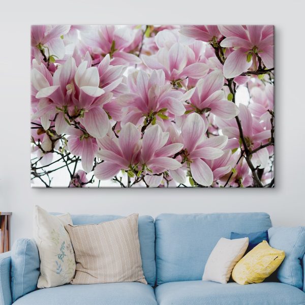 Groep roze bloemen Groep roze bloemen