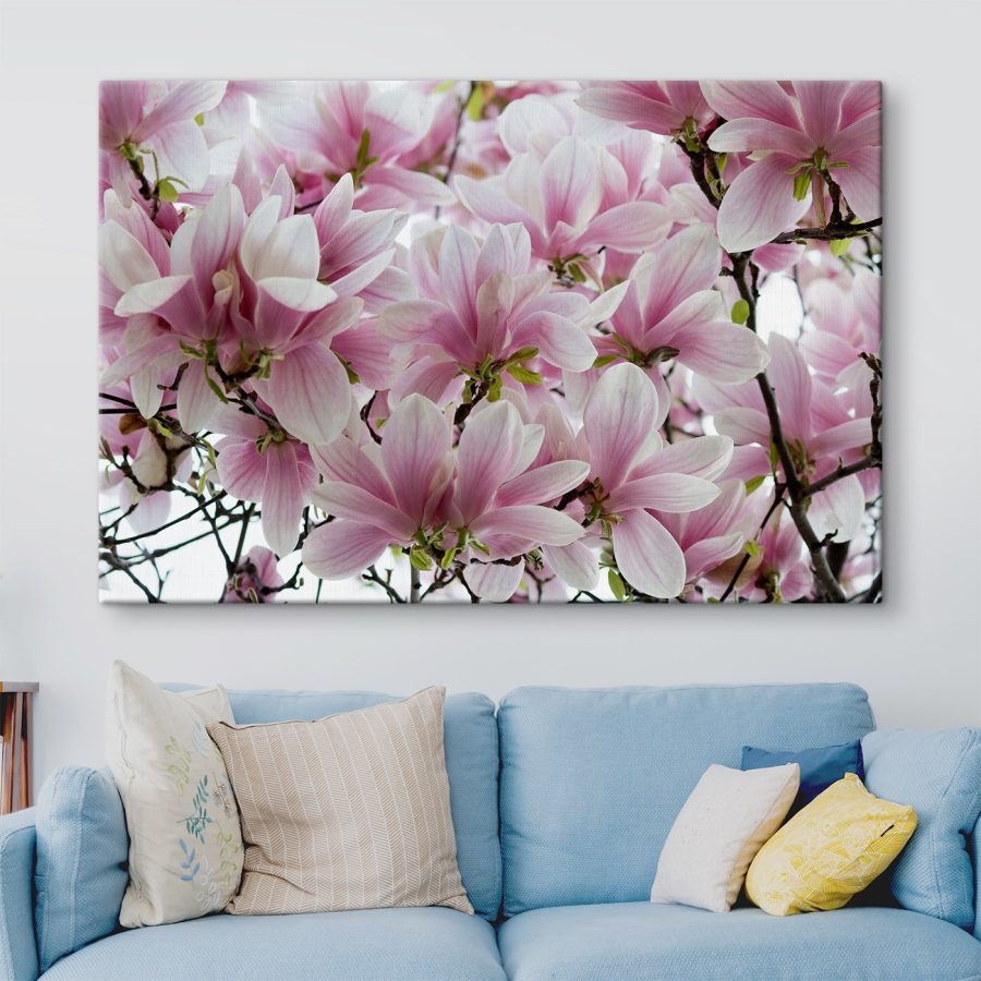 Groep roze bloemen