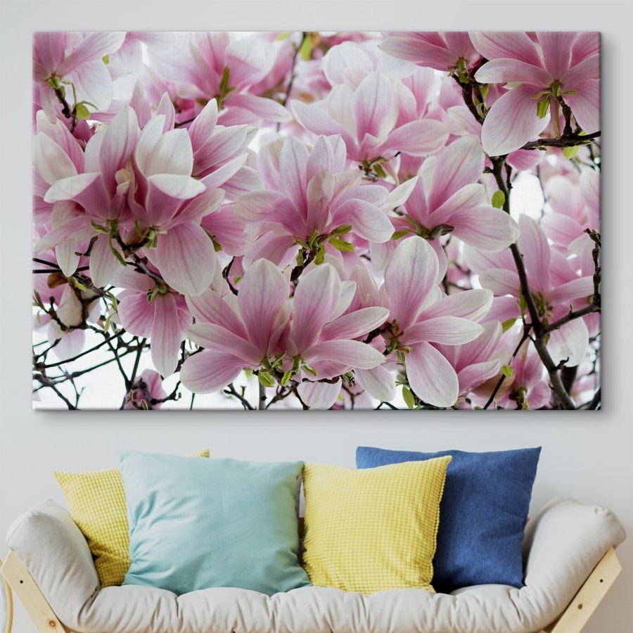 Groep roze bloemen