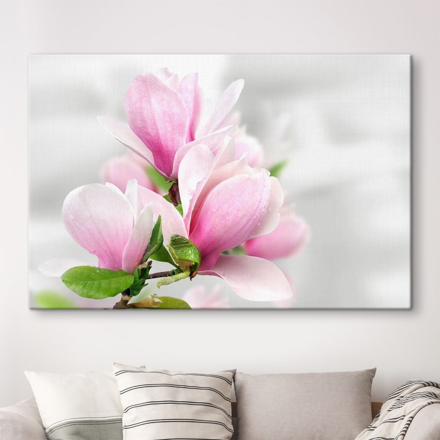 Roze magnolia bloeit
