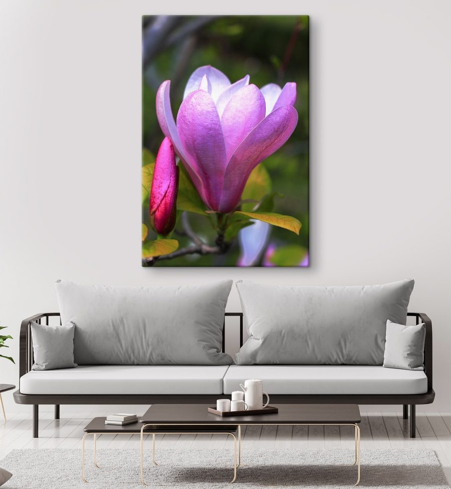 Magnolia: De sierlijke bloei van de natuur