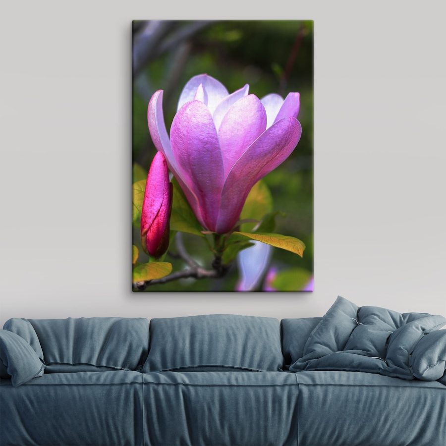 Magnolia: De sierlijke bloei van de natuur