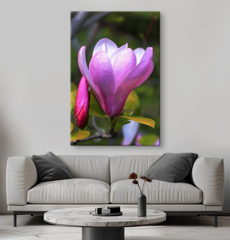 Magnolia: De sierlijke bloei van de natuur