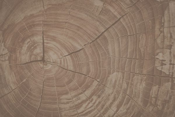 Tree Rings Tell Nature's Story Tree Rings Tell Nature's Story