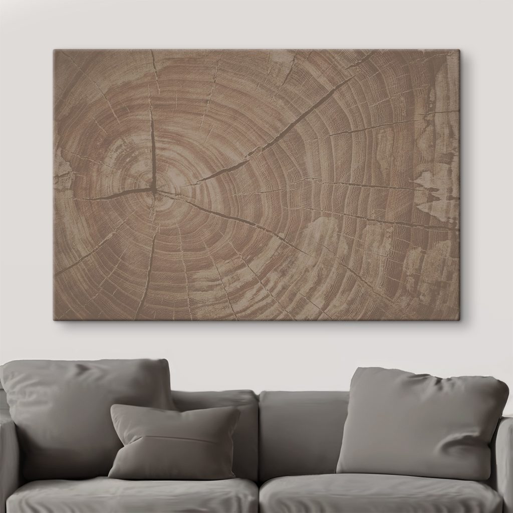 Tree Rings Tell Nature's Story
