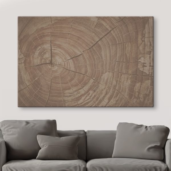 Tree Rings Tell Nature's Story Tree Rings Tell Nature's Story
