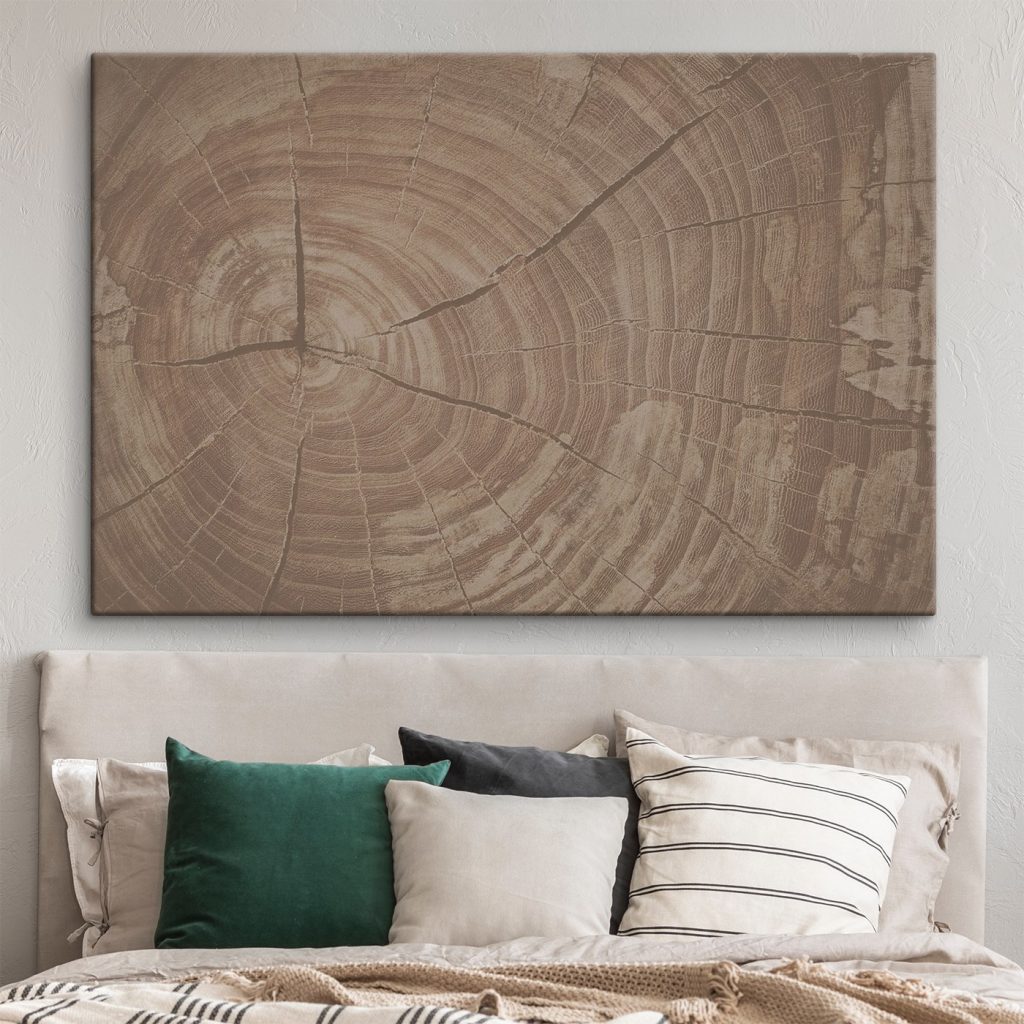 Tree Rings Tell Nature's Story