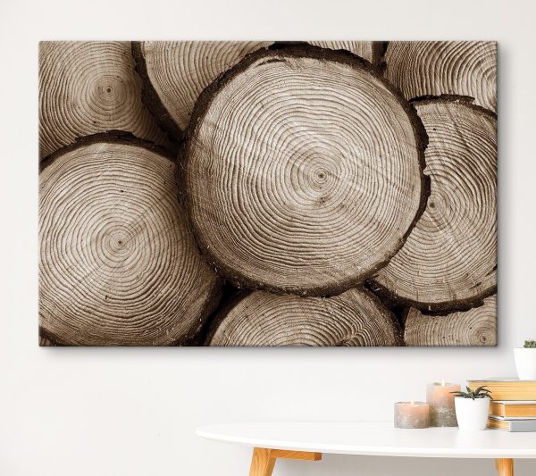 Groep gekapte bomen Canvas Schilderijen Groep gekapte bomen
