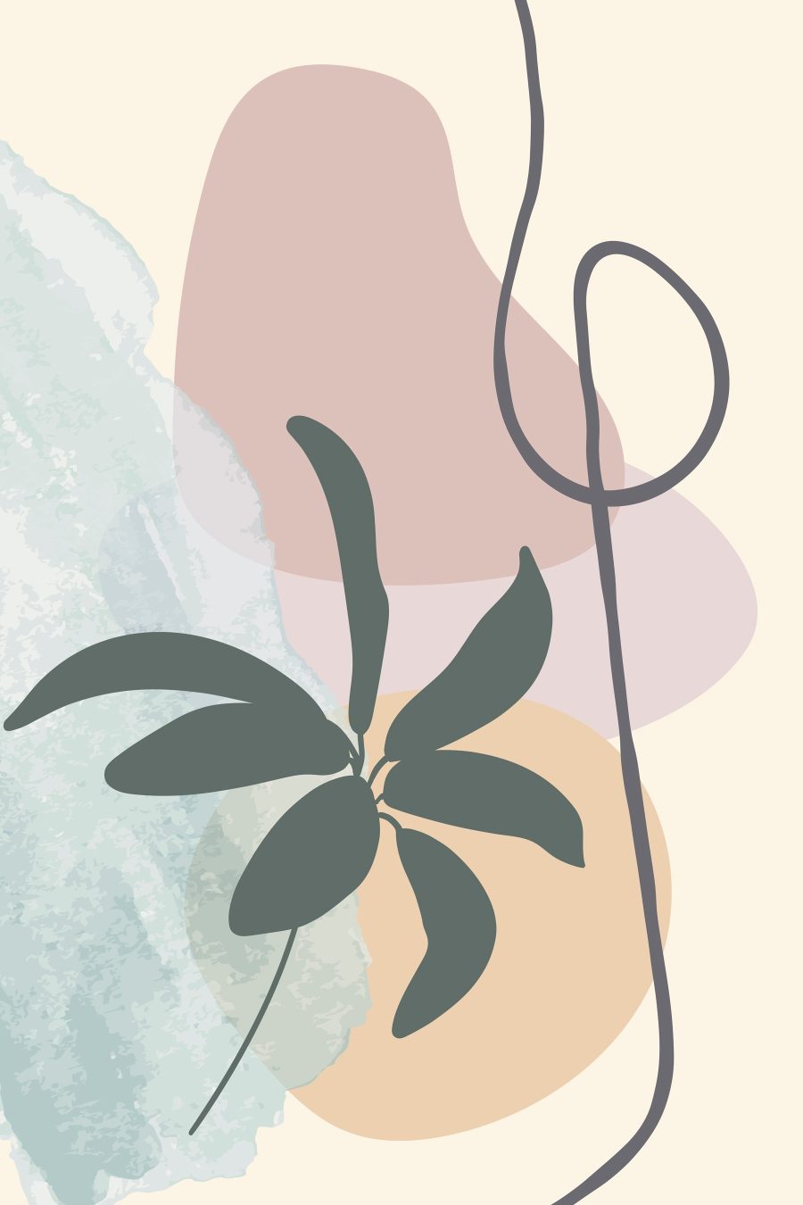Plant met bladeren en een spiraal
