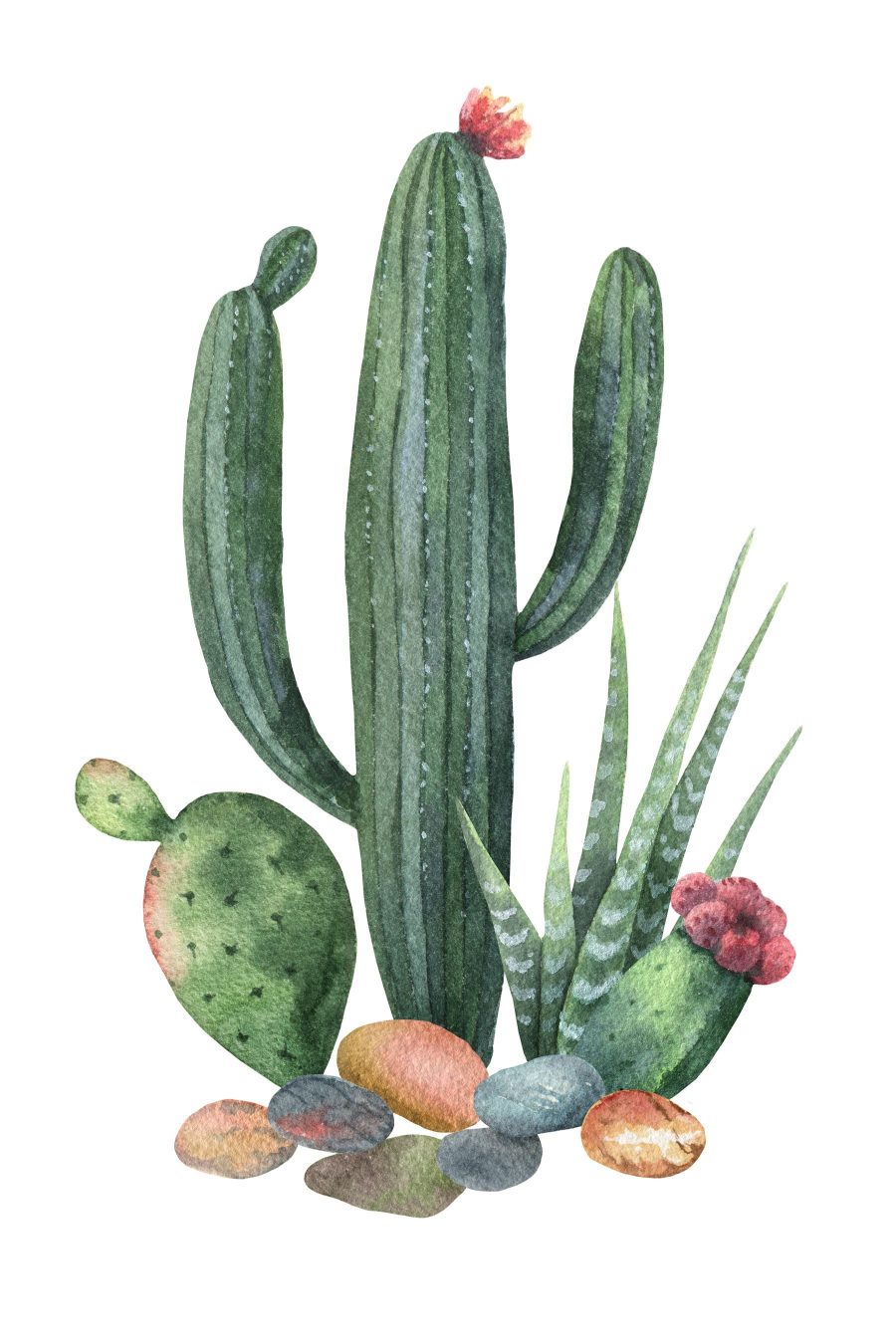 Aquarel van een cactus en rotsen Aquarel van een cactus en rotsen