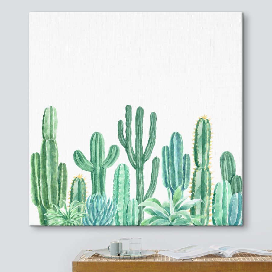 Groep cactussen en vetplanten