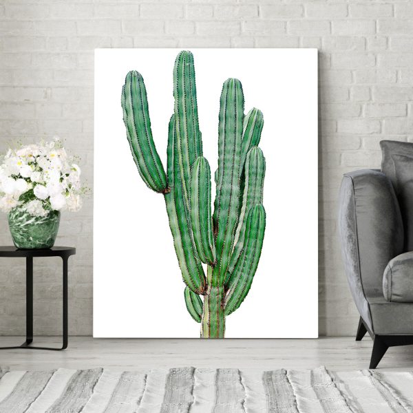 Cactus met lange dunne groene stengels Cactus met lange dunne groene stengels