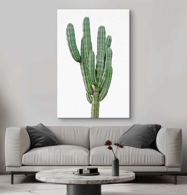 Cactus met lange dunne groene stengels Cactus met lange dunne groene stengels